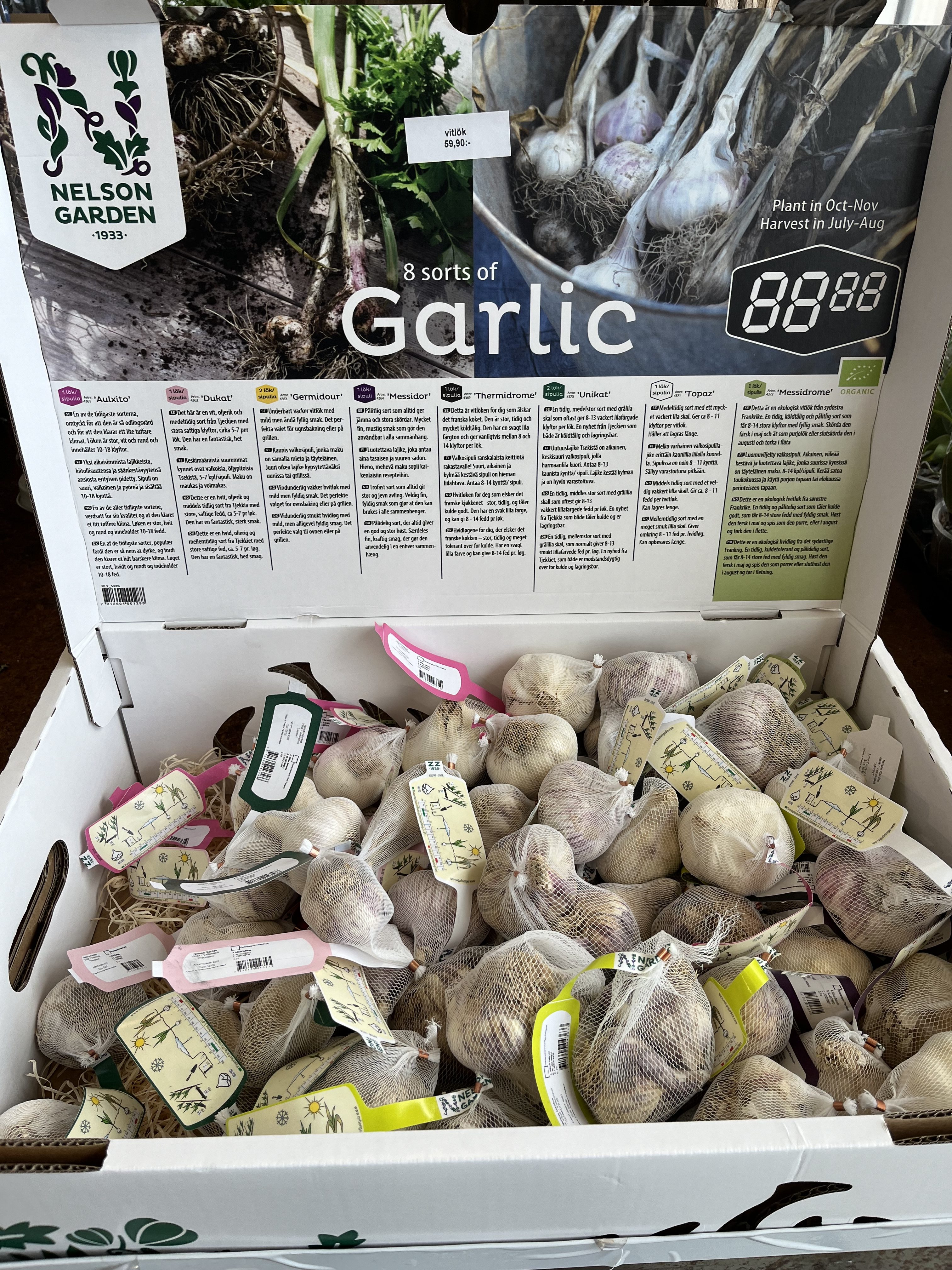 Lådvisning av Vitllök Precosem: åtta vitlökssorter med etiketter och planteringsanvisningar.