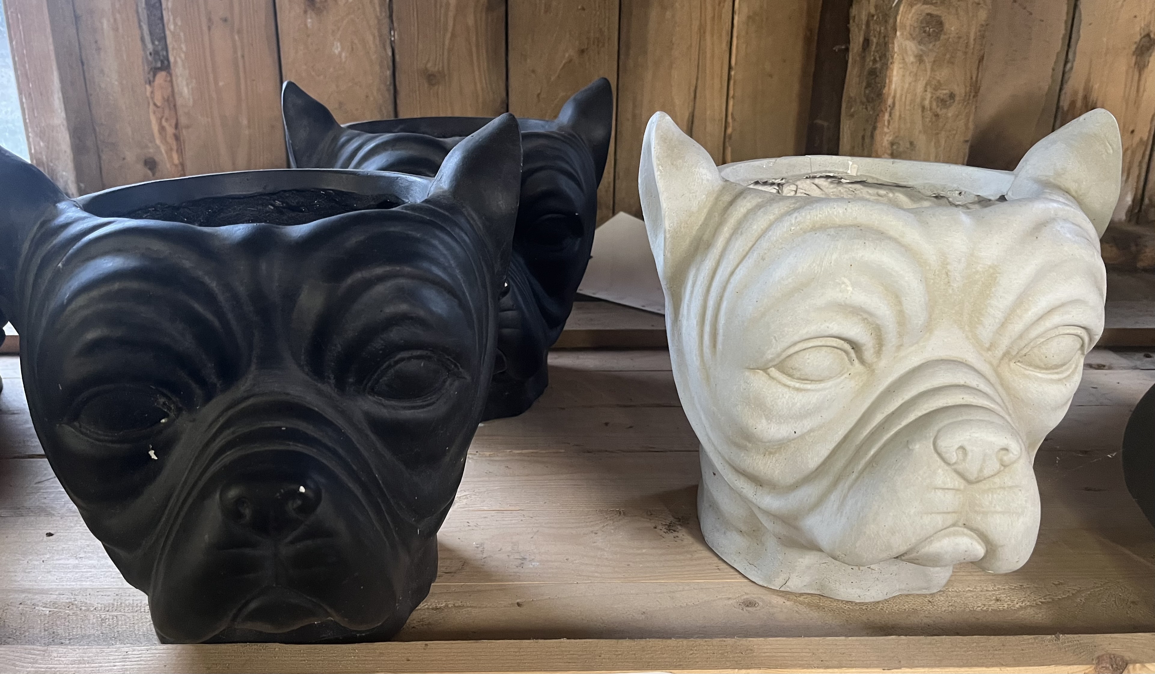 Fiberkruka hund i svartvitt på en trähylla.