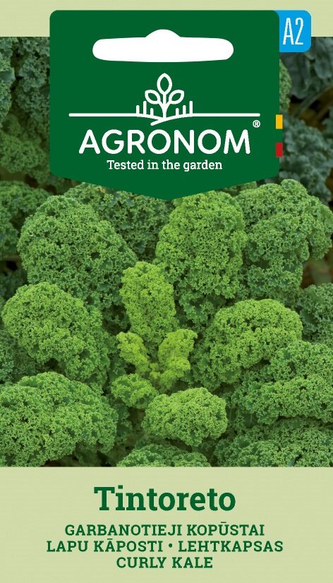 Grönkål Curly Tintoreto fröförpackning med grönkålsbild och flerspråkig förpackning.