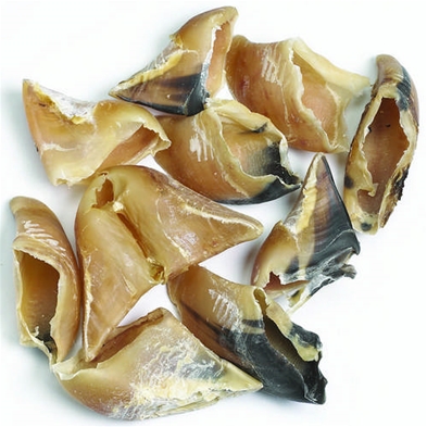 En hög med Antos klöv, tomma och spruckna kohovar, på en vit yta.