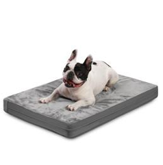 En svartvit fransk bulldogg ligger på en grå rektangulär hundbädd.