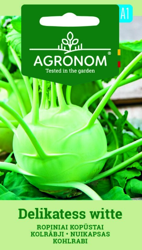 Närbild av en grön kålrabbi, Delikatess Witte växt med blad och märkt fröförpackning.