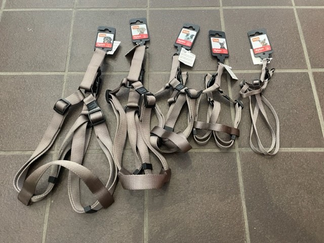 Fem stycken Sele Karlie koksgrå hundsele i olika storlekar utställda på ett klinkergolv.