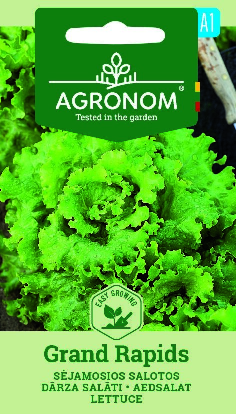 Sallad, Grand Rapids frön med en livlig grön salladsbild på framsidan av paketet.
