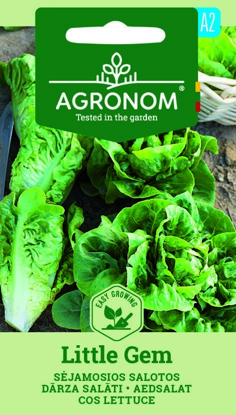 Ett paket med sallat, Little Gem-frön med bilder av färska sallatshuvuden.