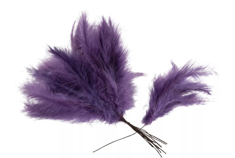 Fjäder Trådad Vippa Lila.M pampasgräs stjälkar mot en vit bakgrund.