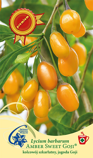 Gulorange Gojibär AMBER SWEET GOJI® på gröna bladgrenar.