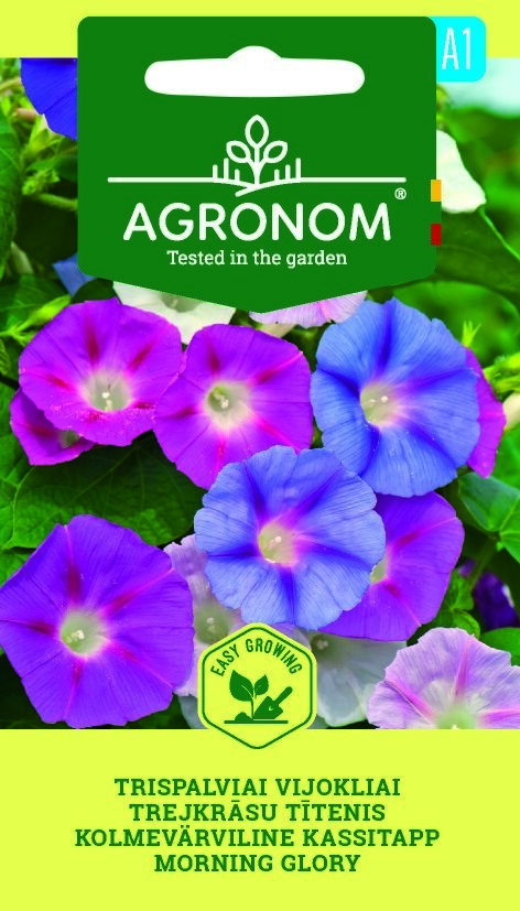 Morning Glory blommafrön i lila, blå och rosa nyanser på ett fröpaket.