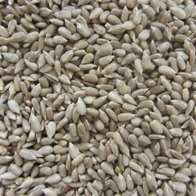 Närbild av en hög med oskalade solrosfrön.