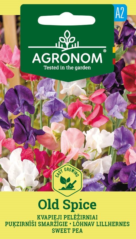 Lättväxande Sweet Pea Old Spice Mix: färgglada blommor med frön från Agronom.
