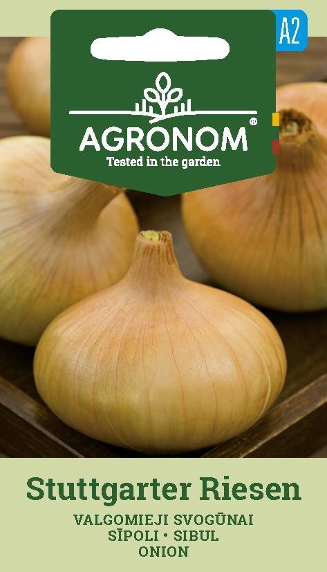 Fyra Stuttgarter Riesen lökar på trä med grön Agronom-etikett ovanför.