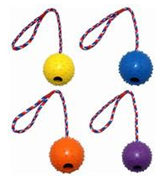 Traning Ball: Set med fyra texturerade bollar i gult, blått, orange och lila med rep med öglor.