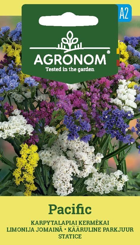 Färgglad Statice Pacific-bukett med en grön etikett från Agronom-fröförpackningen på toppen.