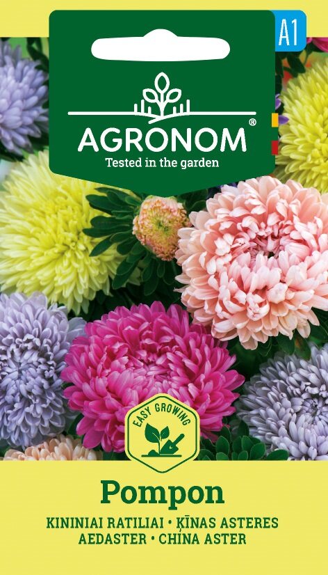 China Aster, Pompon Mix frön-färgglada blommor, Agronom, Lättväxande paket.