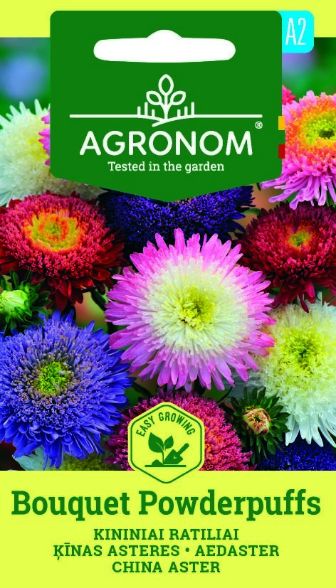 Färgglad Kina Aster Bouquet Powderpuff med en grön Agronom-fröförpackningsetikett på toppen.
