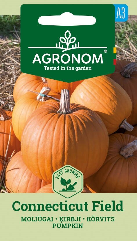 Pumpa Conneticut Fältfrön med flera stora orange pumpor på paketet.