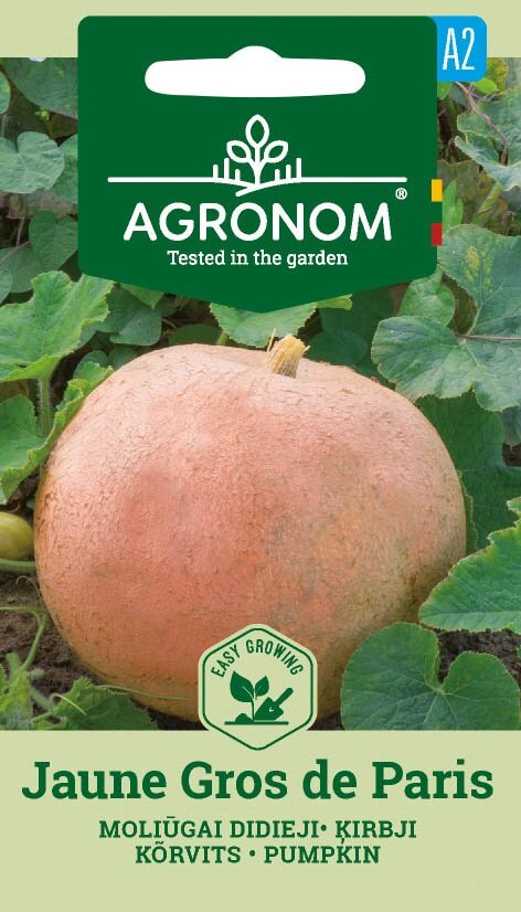 En ljusorange Pumpa Jaune Gros De Paris växer bland gröna blad på en fröpåse.