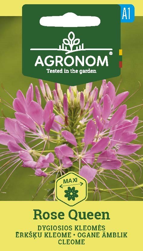 En fröförpackning med en rosa spindelblomma, Queen by Agronom.