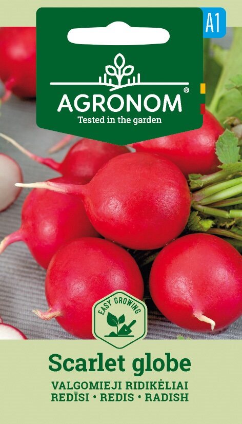 Ett knippe röda rädisor med gröna toppar på en Radish. Scarlet Globe fröförpackning.