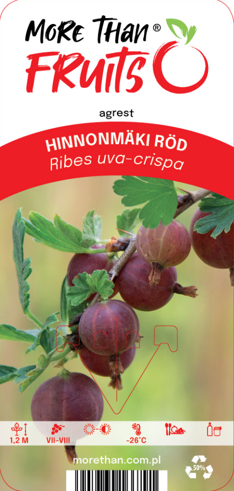 Krusbär Hinnonmaki Röd växer på en gren med gröna blad, produktetikett.