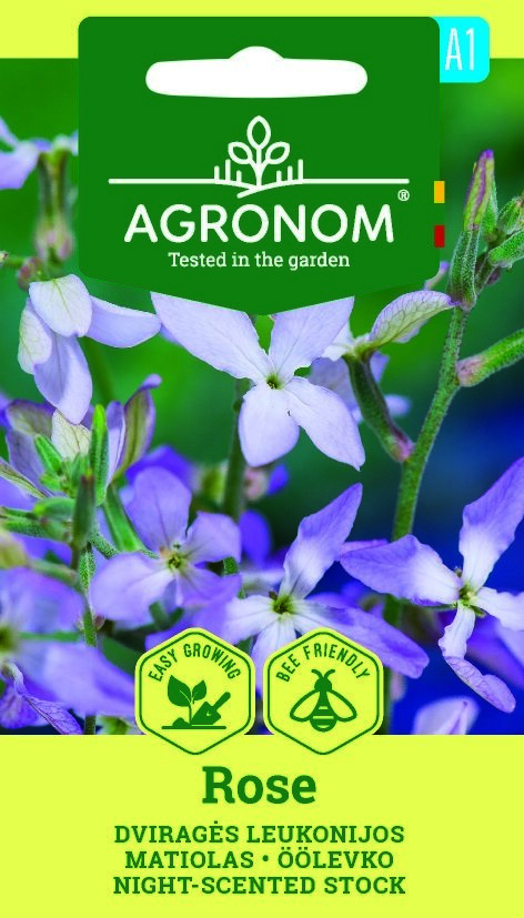 Night Scented Stock, Rose fröförpackning med etiketter; lätt att odla och bivänlig.