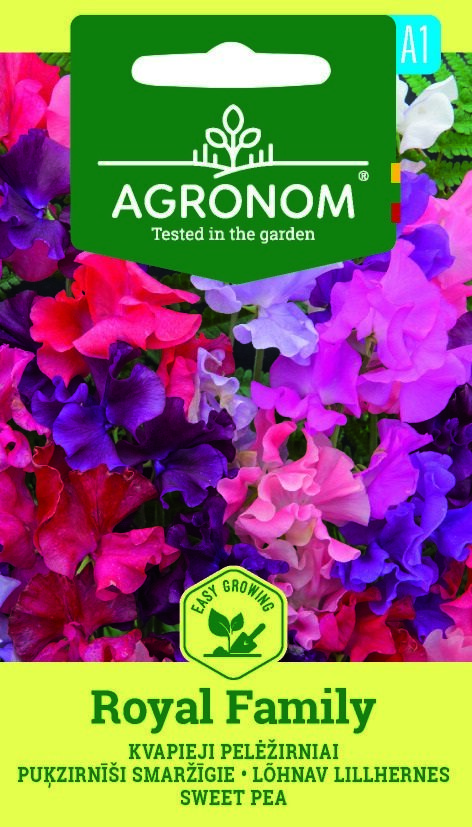 Färgstarka Luktärt, Royal Family-blommor med lättodlade förpackningar.