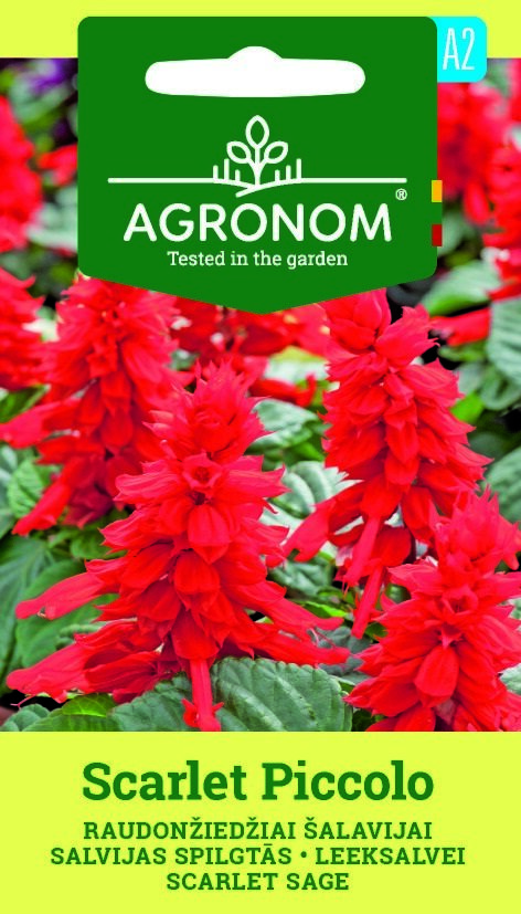 Paket med Scarlet Sage, Scarlet Piccolo frön med ljusröda blommor på framsidan.