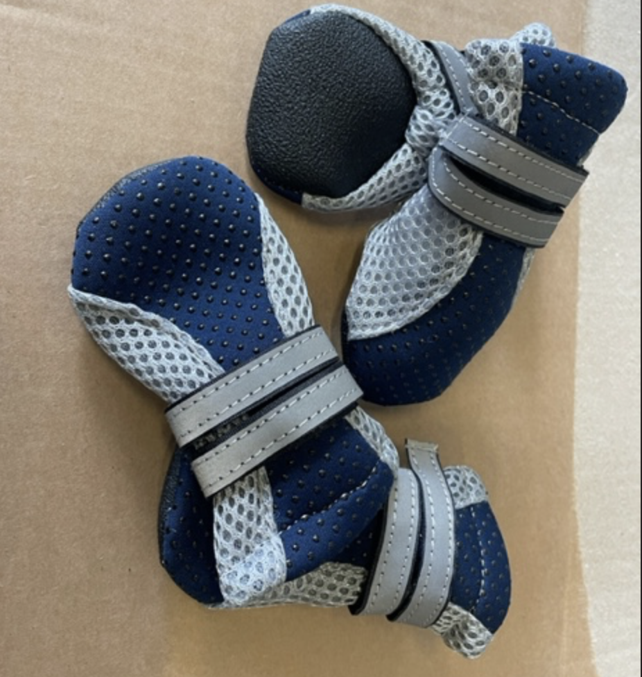 Pet SHOES - Små i blått och grått med kardborreband på ett underlag av kartong.