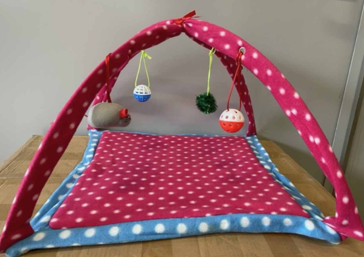 Leksaks gym: en röd- och blåprickig lekmatta för husdjur med hängande leksaker i en låda.