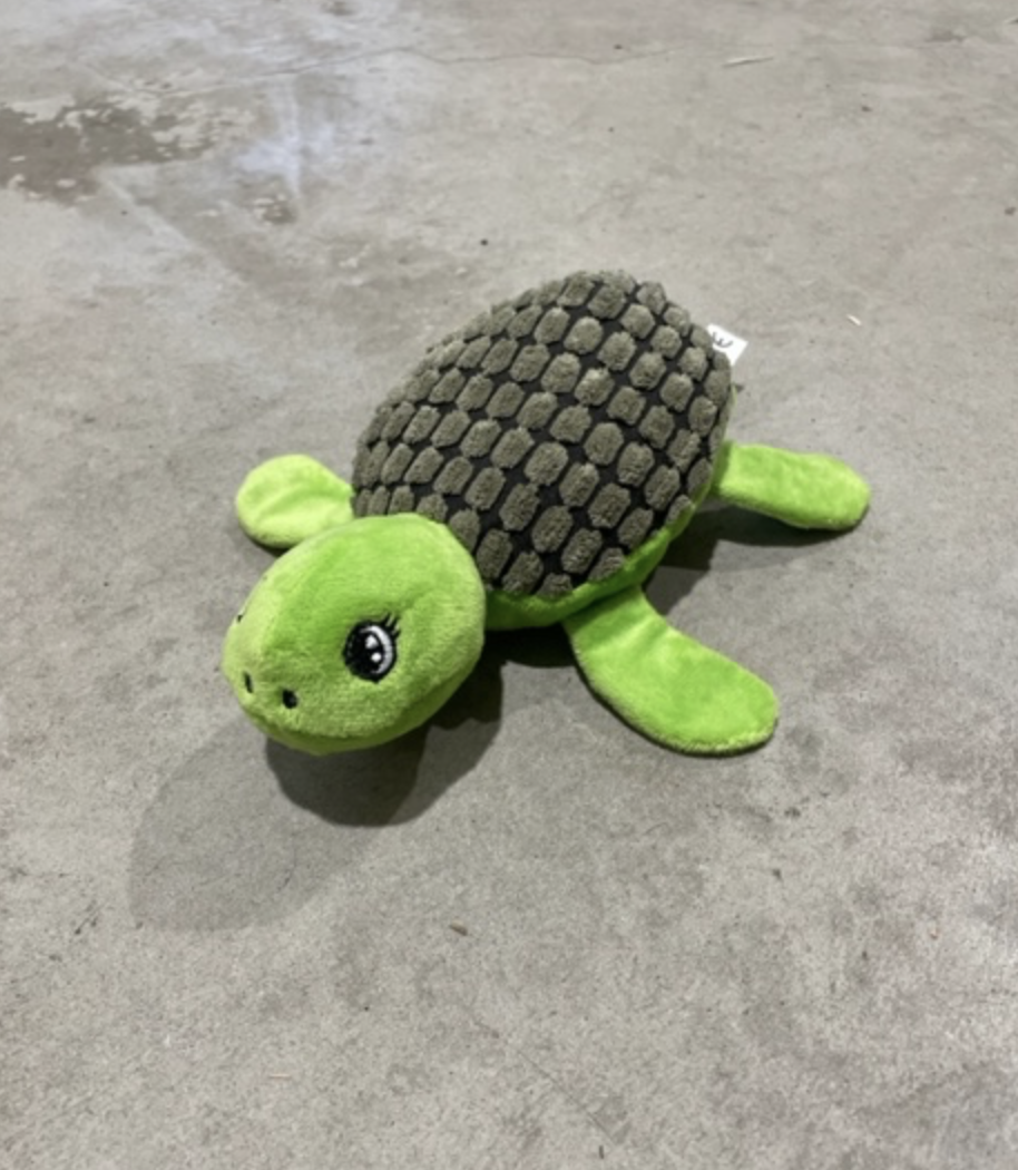 En SKÖLDPADDA grön och brun plyschsköldpadda på en grå betongyta.