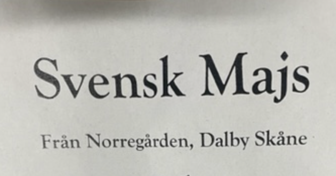 Texten lyder "HEL MAJS 500KG. Från Norregården, Dalby Skåne" på en slät bakgrund.
