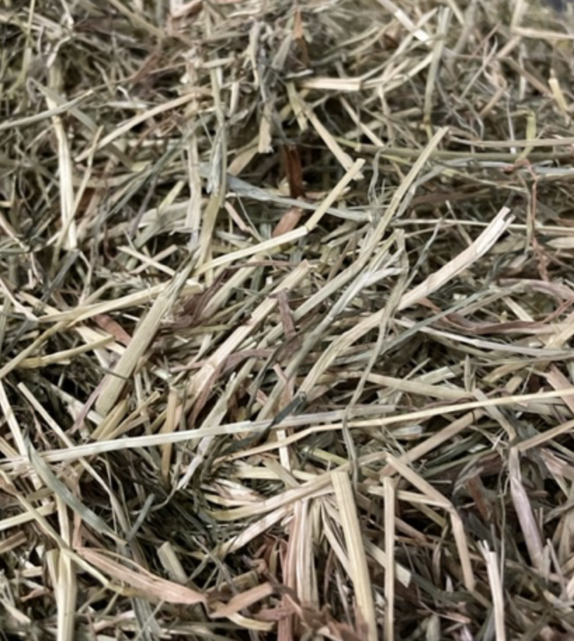 Närbild av HALMEKO Höbal 18 kg isvep torrt hö i en hög.