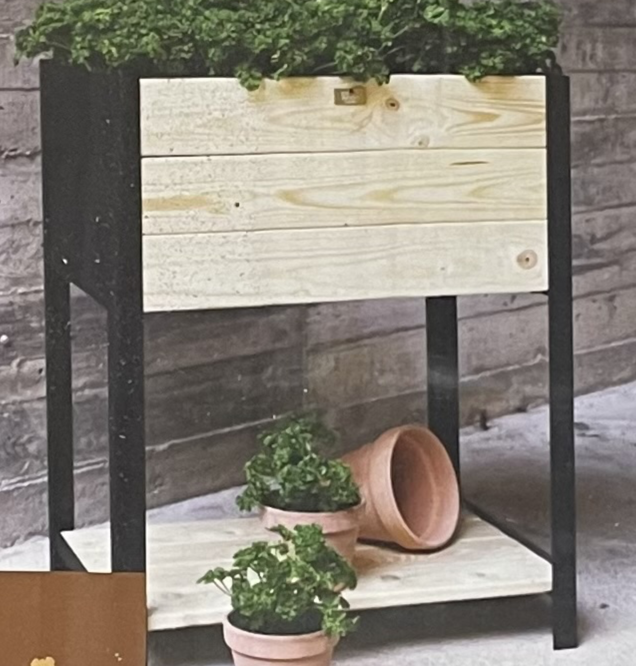 Modernbox natur L58 H72: Planteringslåda i trä med gröna växter, lerkrukor på hylla under.