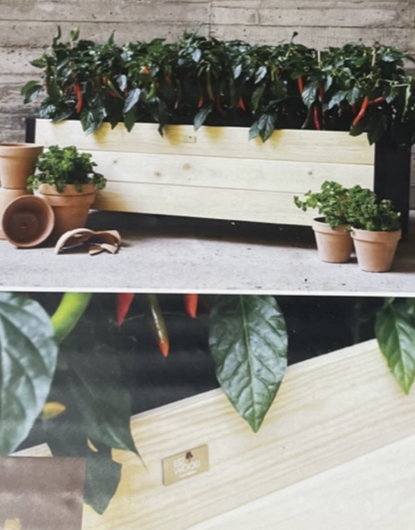 Zinkbox L118 med chilipepparplantor och lerkrukor uppställda bredvid.