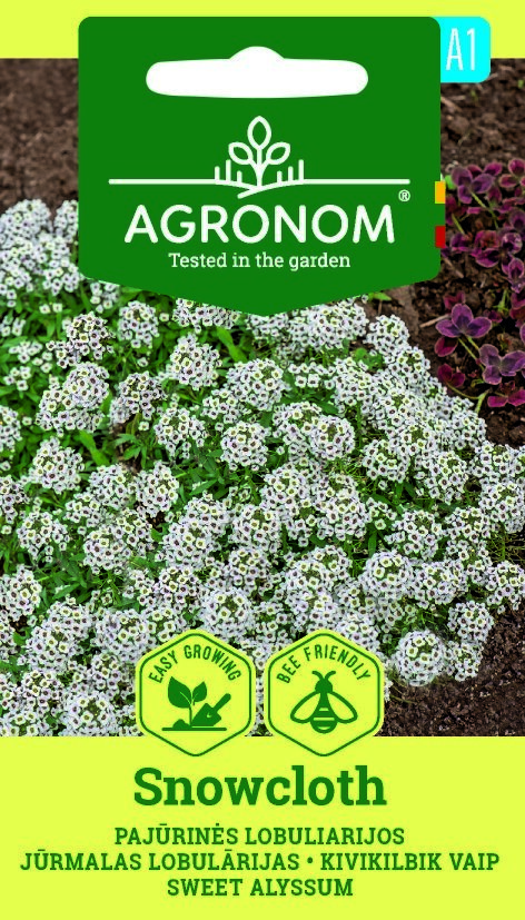 Ett paket med Alyssum Sweet, Snowcloth-frön visar ett kluster av små vita blommor.