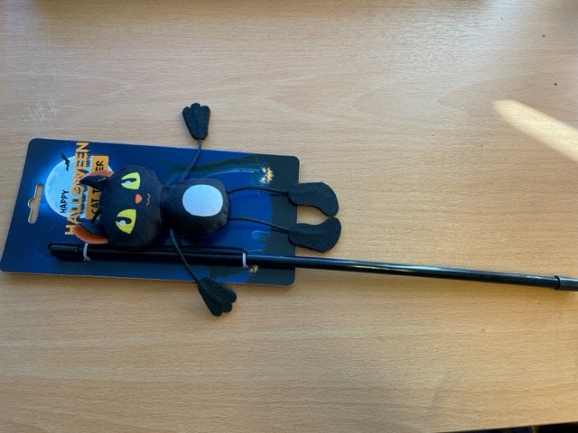 Kattspö med svart katt ligger på en träyta.