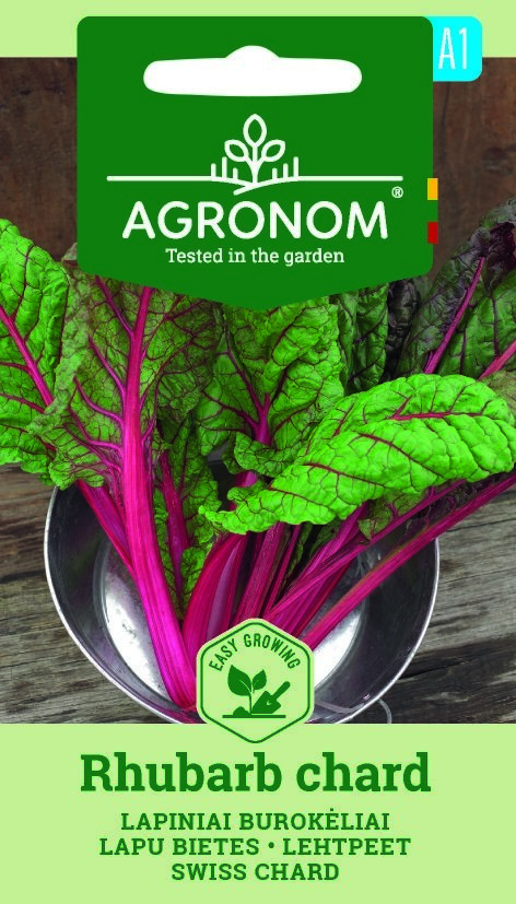 Mangold, rabarbermangold med rosa stjälkar och gröna blad i en metallskål.