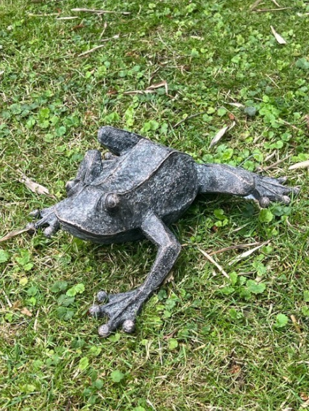En grodskulptur i metall står på grönt gräs.