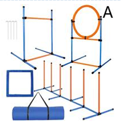 Agility-träningssetet innehåller hopp, ring, vävstolpar, ram och blå matta.