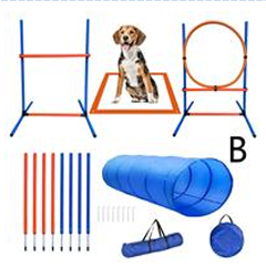 Agilityträningsset med hopp, tunnel, stolpar och en beagle i mitten.