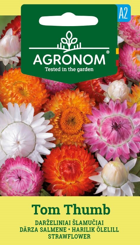 Strawflower Tom Thumb Mix: orange, rosa och vita blommor på ett livfullt fröpaket.