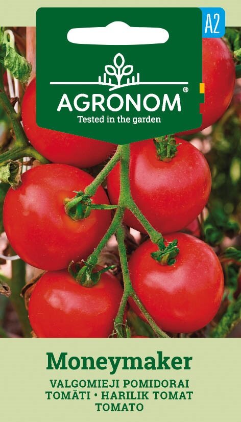 Mogna röda tomater på en vinranka med en grön fröförpackning märkt brun holländsk.