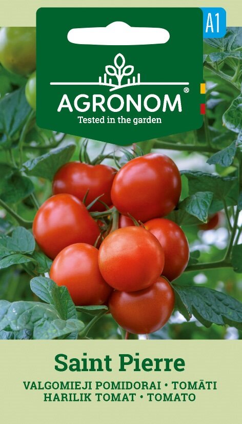 Kluster av mogna röda Saint Pierre-tomater på vinstocken av Agronom utsäde varumärke.