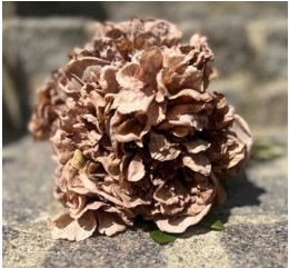 En närbild av Pion/Hortensia Beige liggande på en stenyta.