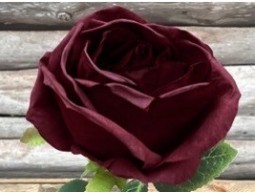 Ros Röd: En djupt vinröd ros med gröna blad på en rustik träbakgrund.