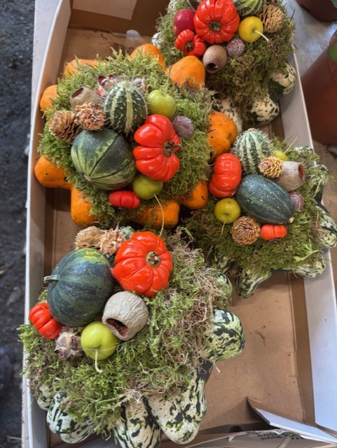 Pumpa platta, mossa och kalebasser arrangerade i en festlig höstdisplay.