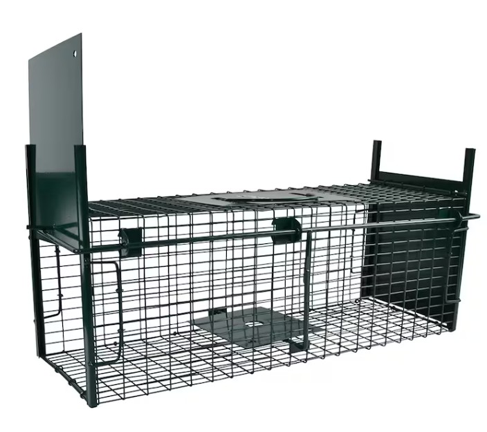 Råttfälla bur: Rektangulär metalltrådsbur med en dörr och en invändig avtryckarplatta.