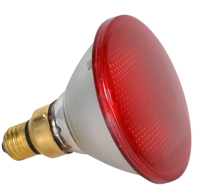 Glödlampa Ekonomi PAR röd reflektorlampa med skruvsockel i mässing, vy från sidan.