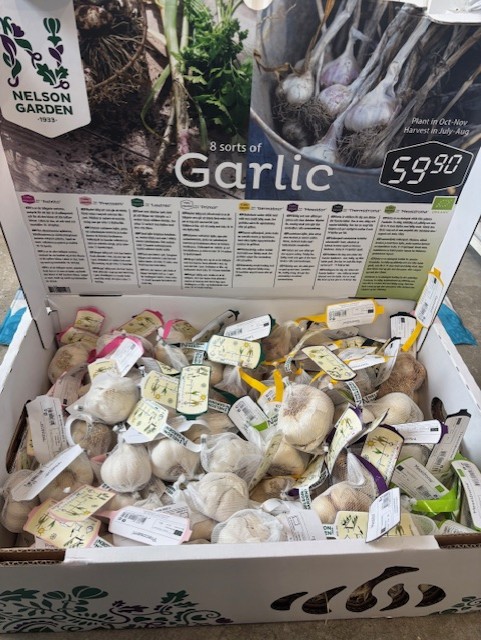 En displaylåda med Vitlök Sättlök till salu med en skylt som visar priset 59,90.