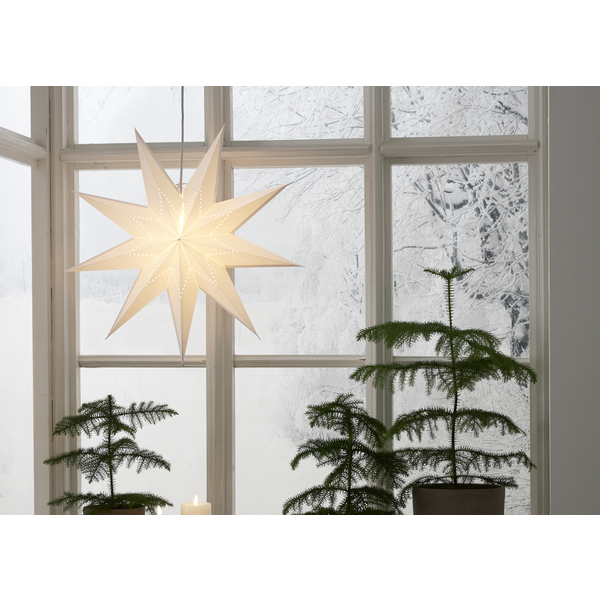 Star Trading Pappersstjärna LYSA lyser genom frostigt fönster med snö och små träd i kruka.